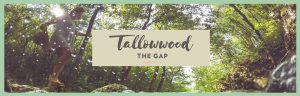 Tallowwood The Gap